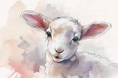 Plakat 30x20cm Mała Owieczka