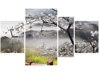 product-compare-58701161