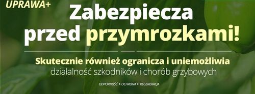 AdeSil krzemowy biostymuator wzrostu roślin 1 kg na Arena.pl