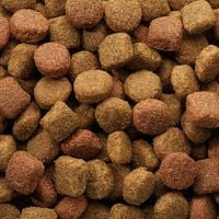 Versele Laga Classic Dog Duo Krok 20kg