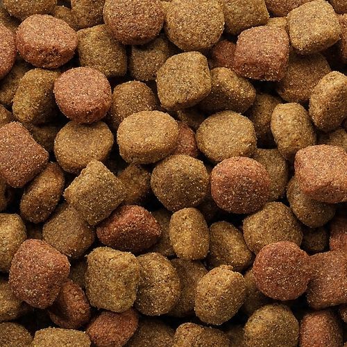 Versele Laga Classic Dog Duo Krok 20kg na Arena.pl