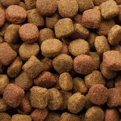 Versele Laga Classic Dog Duo Krok 20kg