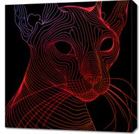 Obraz 70x70cm Cyfrowa Kocica