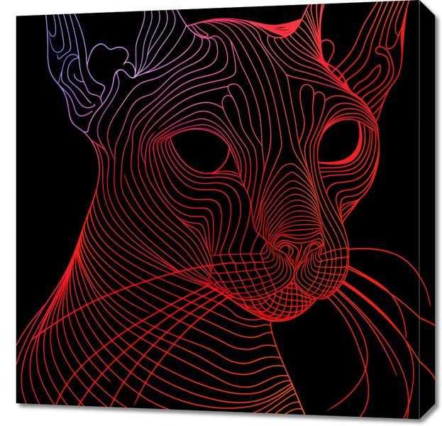 Obraz 70x70cm Cyfrowa Kocica zdjęcie 1