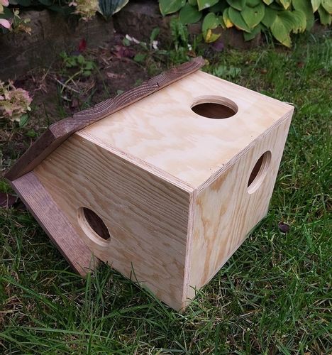 Budka domek dla wiewiórek na Arena.pl