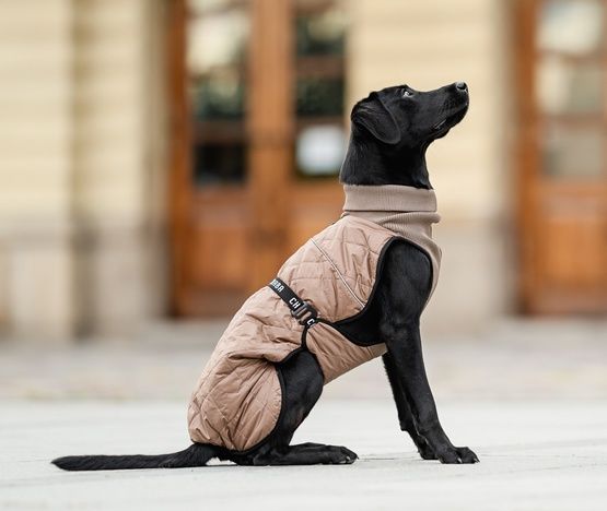 Chaba Kubrak Regulowany Chic S beige zdjęcie 7
