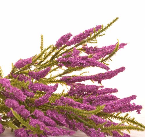 Wrzos bukiet różfiolet na Arena.pl