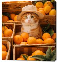 product-compare-59471123