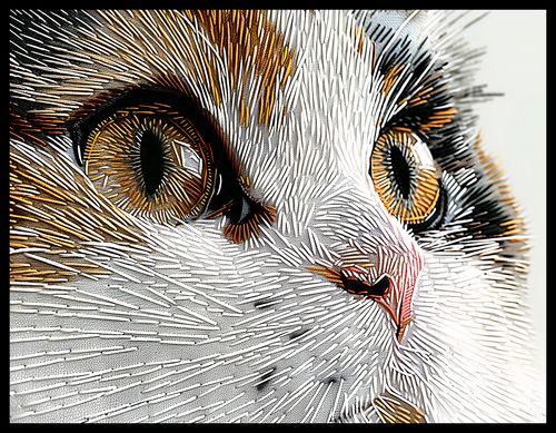 Plakat 65x50cm Nitkowany Kot na Arena.pl