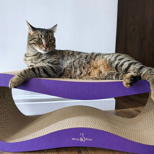 Drapak dla kota LEON | fioletowy | 78x28x24 cm | MruuPruu na Arena.pl