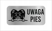 GRAWER Tabliczka nierdzewna 20x10 cm UWAGA PIES Papillon