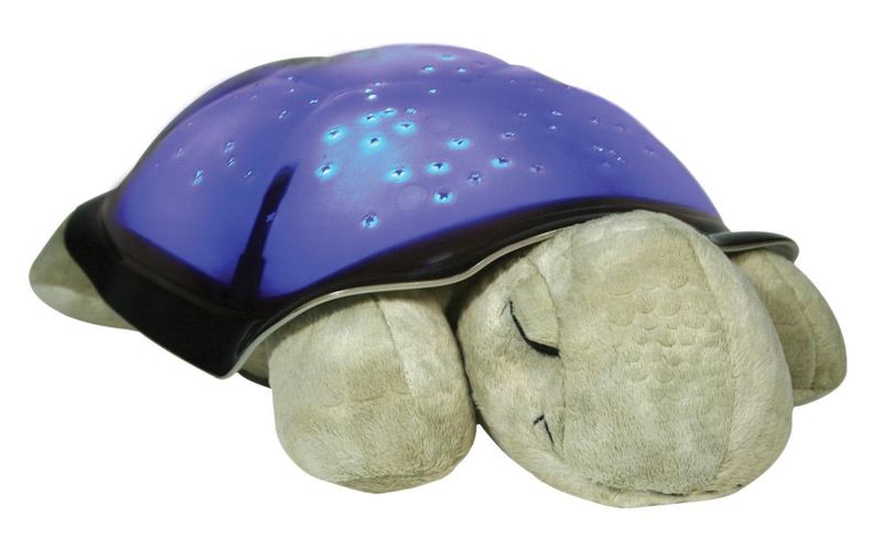 ND19_CLTT-7323-ZZ Cloud b®Twilight Turtle zdjęcie 3