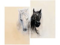 product-compare-58655869