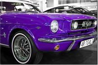 120CM 80CM OBRAZ ŚCIENNY FIOLETOWY MUSTANG