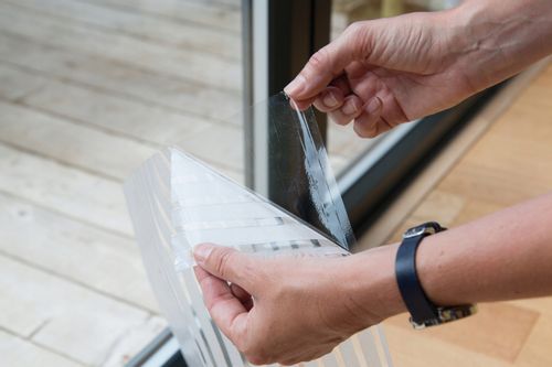 Folia stat. premium FINDUS 45cm x 0,5m na Arena.pl