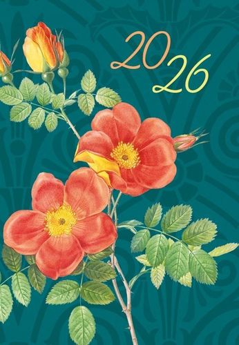 KALENDARZ TERMINARZ MIKRO T-MIKRO-02 MICHALCZYK 2026 na Arena.pl