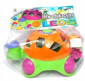 Zolw edukacyjny Leos 09038