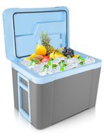 Lodówka Turystyczna Samochodowa Przenośna MasterCold-35L