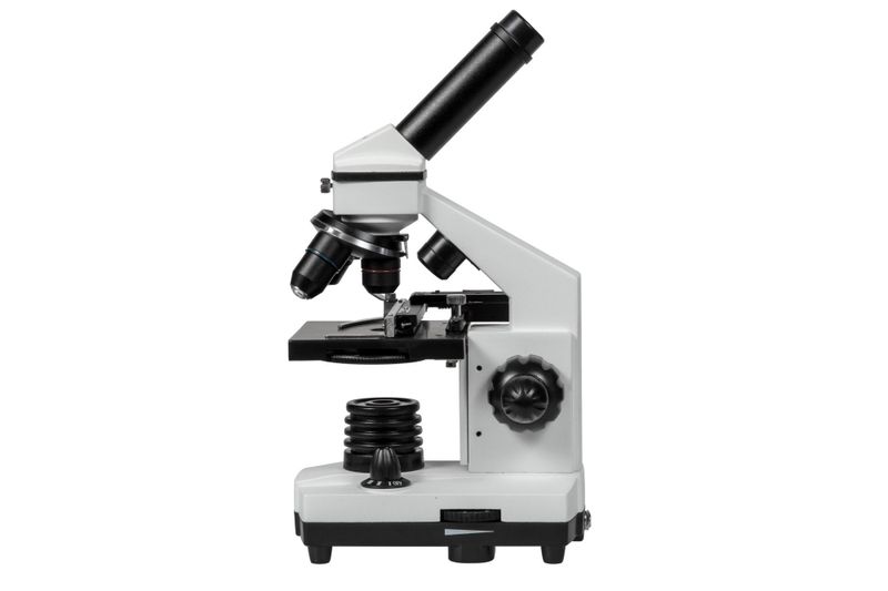 Mikroskop OPTICON - Biolife 1024x + akcesoria na Arena.pl
