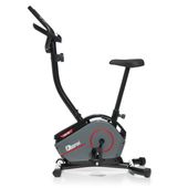 Rower treningowy magnetyczny AbarQs RW-36