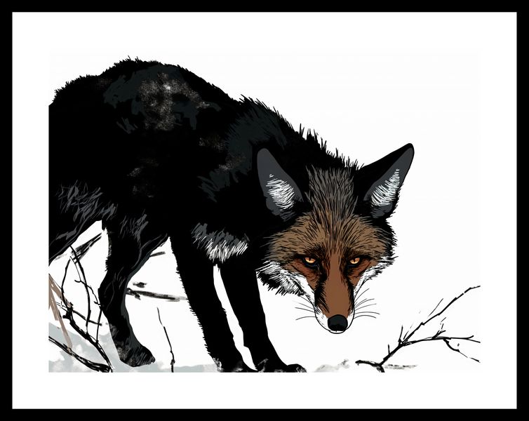 Plakat 40x30cm Nieufny Lis zdjęcie 3