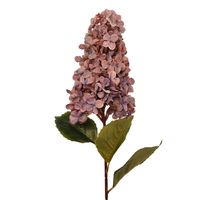 product-compare-61190730