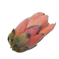 product-compare-61190801