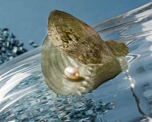 Naszyjnik Jednorożec z Dwoma Perłami - Prezent dla Dziewczyny na Arena.pl