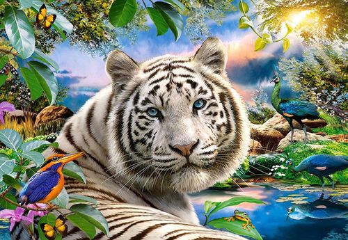 CASTOR Puzzle 1500 EL. Twighlight na Arena.pl