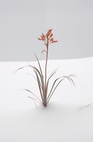 product-compare-59356744