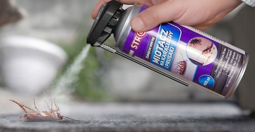 MIOTACZ NA KARALUCHY ŚRODEK NA KARALUCHY AEROZOL Z RURKĄ STRONG 400 ML na Arena.pl