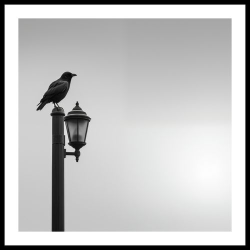 Plakat 70x70cm Samotny Postój Kruka na Arena.pl