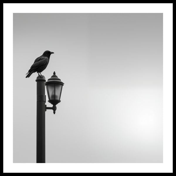 Plakat 70x70cm Samotny Postój Kruka zdjęcie 3