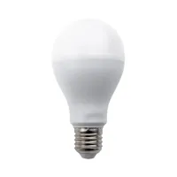 Żarówka LED A67 E27 20W 2100lm zimna do biura energooszczędna