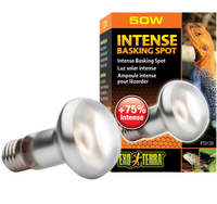 EXO TERRA Żarówka Intense Basking Spot 50W grzewcza punktowa UVA terrarium