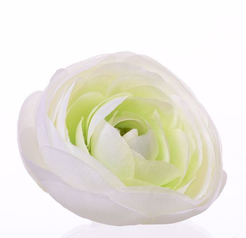 Pełnik główka miętowy na Arena.pl