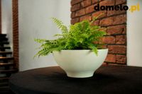 DONICZKA PLANET 260 A1