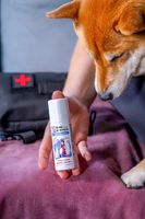 Safe Animals Skin Spray Preparat na skórę Spray ze srebrem na rany