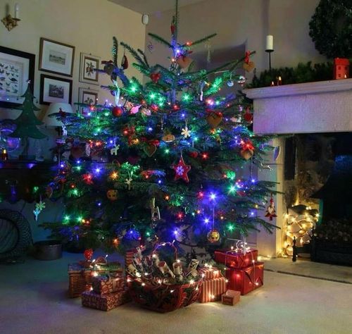 LAMPKI CHOINKOWE 1000 LED FLASH ZEWNĘTRZNE WEWNĘTRZNE ŚWIĄTECZNE MULTIKOLOR na Arena.pl