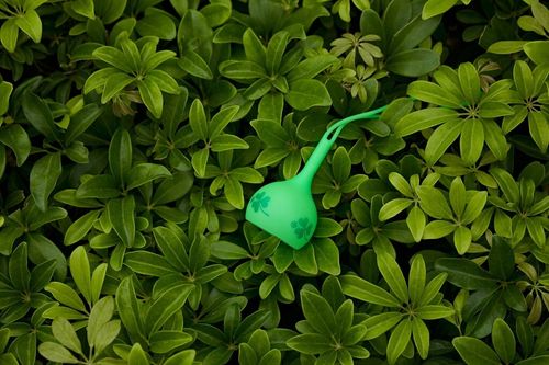 uchwyt osling do lamp olight obulb - clover green na Arena.pl