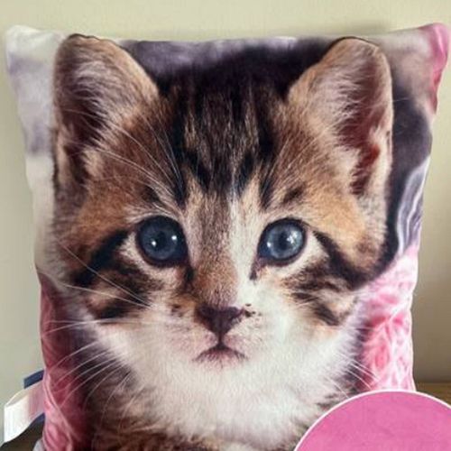 Poduszka velvet 40x40 Kotek na Arena.pl