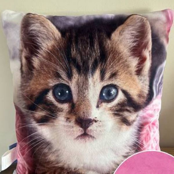 Poduszka velvet 40x40 Kotek zdjęcie 3