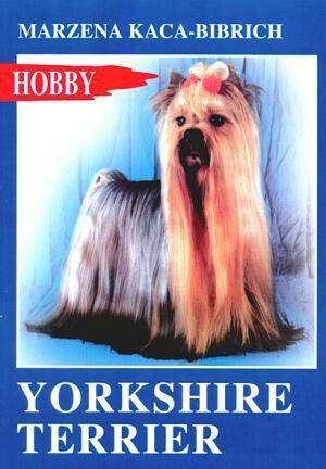 Yorkshire Terrier Małgorzata Kaca-Bibrich na Arena.pl