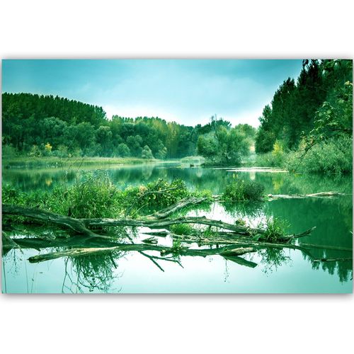 Deco Panel, Powalone drzewo w jeziorze 4 60x40 na Arena.pl