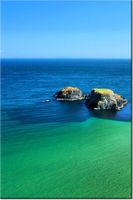 product-compare-58681962