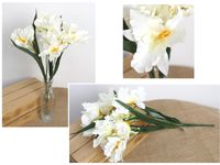 bukiet 2szt  irys wys. 50 cm 5 łodyg (kwiat 12 x 6 cm) śmietanowy md-024a