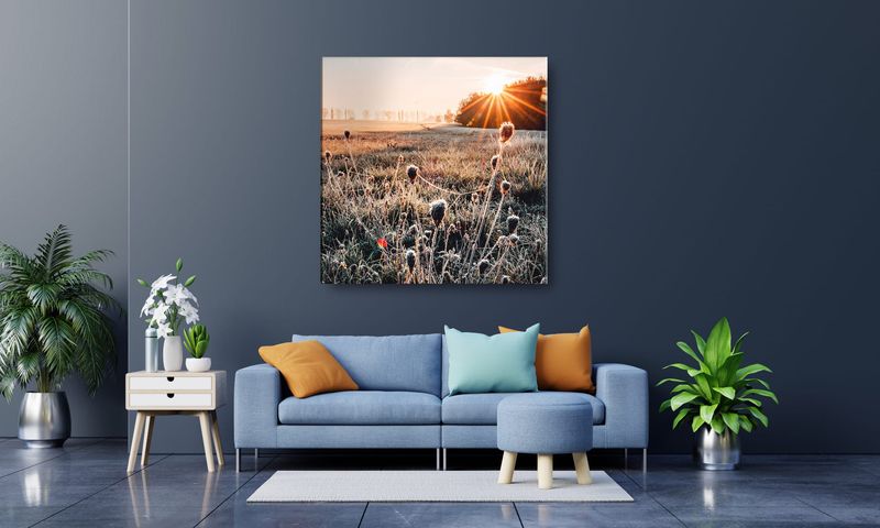 OBRAZ NA PŁÓTNIE 075 Oset 50x50cm zdjęcie 4