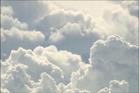 Tło fotograficzne Produktowe FLAT LAT Kulinarne