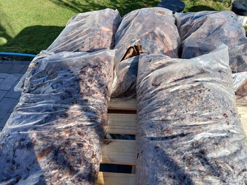 KORA SOSNOWA 80-130mm 8-13cm PREMIUM SORTOWANA MEGA GRUBA 50L na Arena.pl