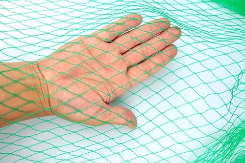 MOCNA SIATKA na PTAKI szpaki na BALKON DRZEWKA 10x10 m GRUBY SPLOT 20G na Arena.pl